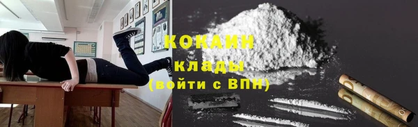 PSILOCYBIN Медвежьегорск