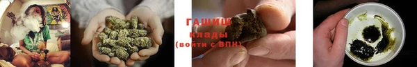 PSILOCYBIN Медвежьегорск