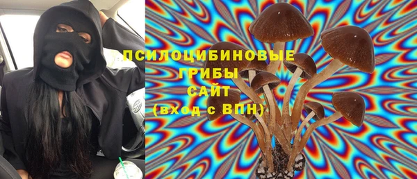 PSILOCYBIN Медвежьегорск
