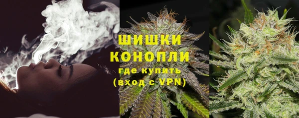 ГАЛЛЮЦИНОГЕННЫЕ ГРИБЫ Медногорск