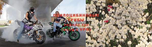 PSILOCYBIN Медвежьегорск