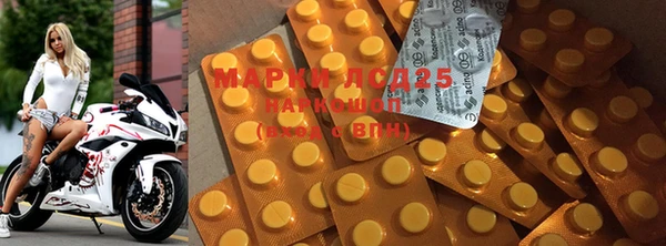 ГАЛЛЮЦИНОГЕННЫЕ ГРИБЫ Медногорск